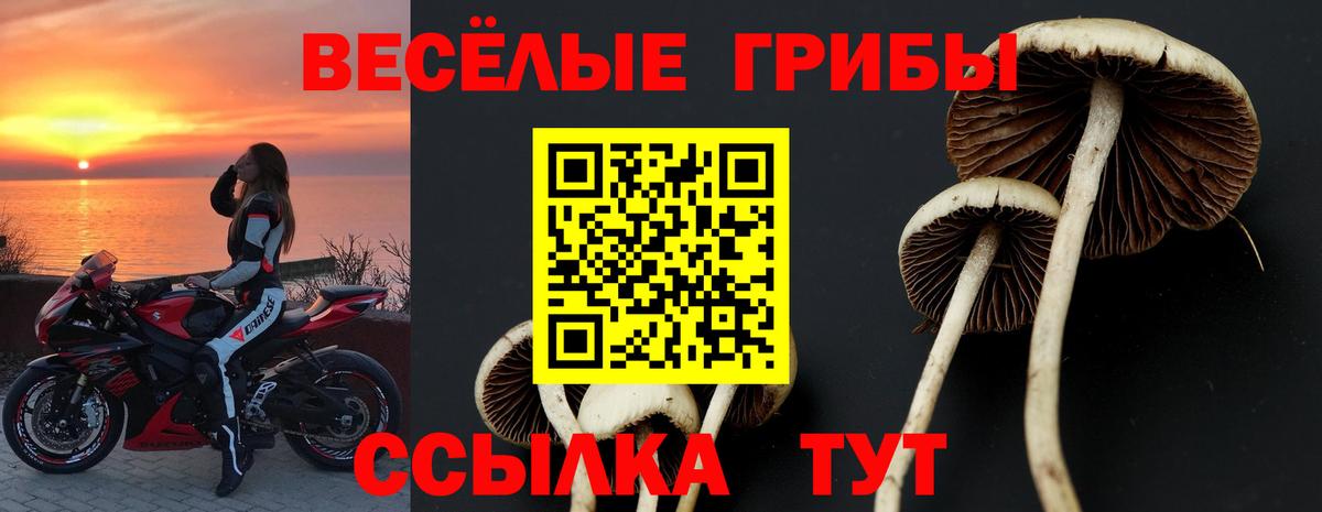 Шебекино  Галлюциногенные грибы мухоморы  Вход с VPN 